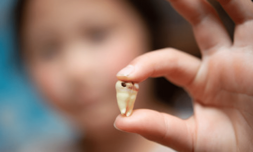 Fight dental cavities