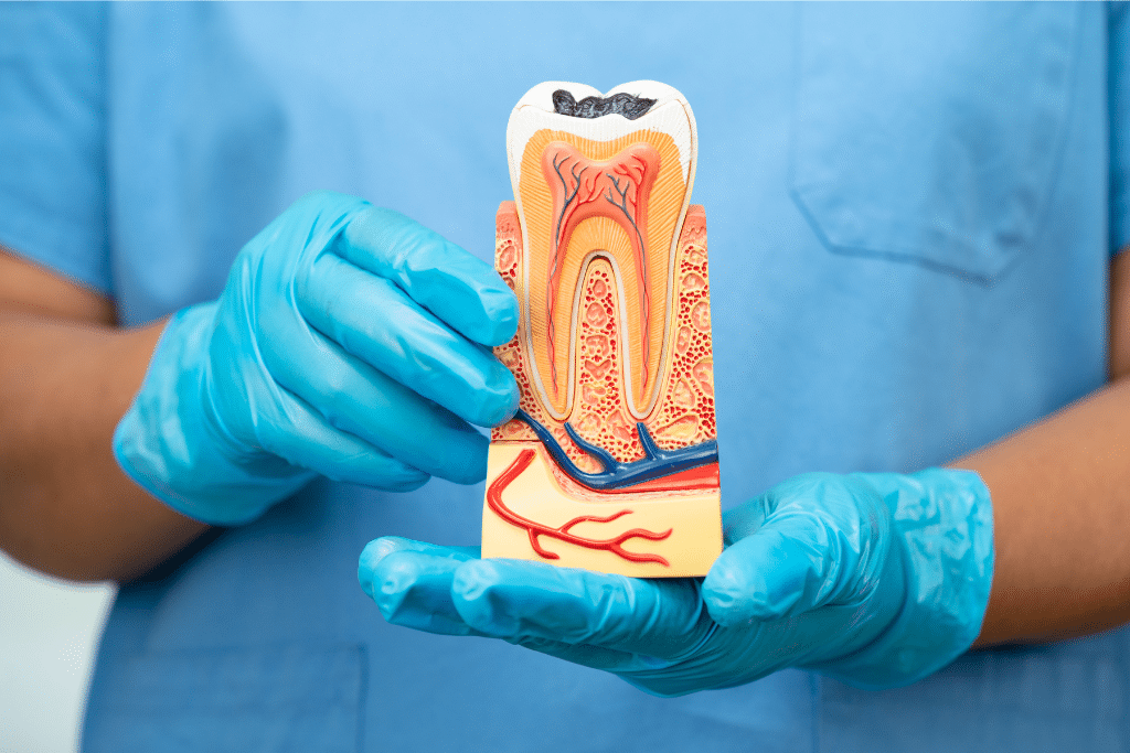 orem dentist